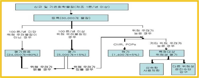 국내 REACH 시행 절차