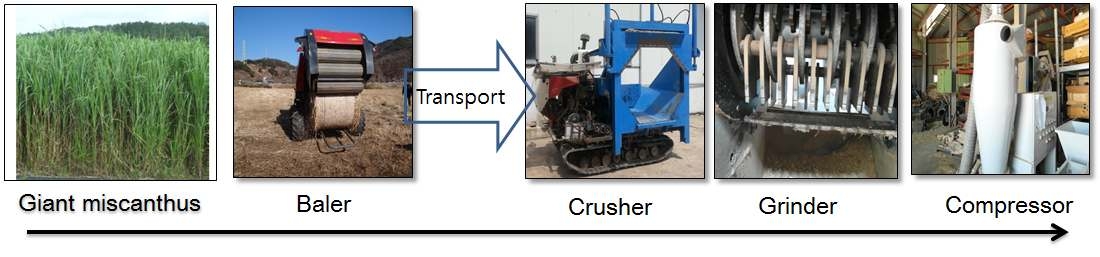 Conventional processing system for korean giant miscanthus.