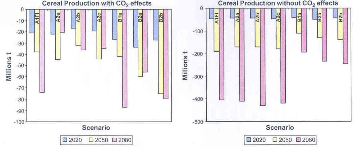 SRES 시나리오하에서 미래 기후변화에 따른 세계 곡물생산량 변화