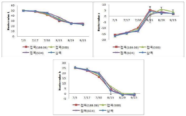 포도 캠벨얼리 품종의 대목별 Hunter values 변화