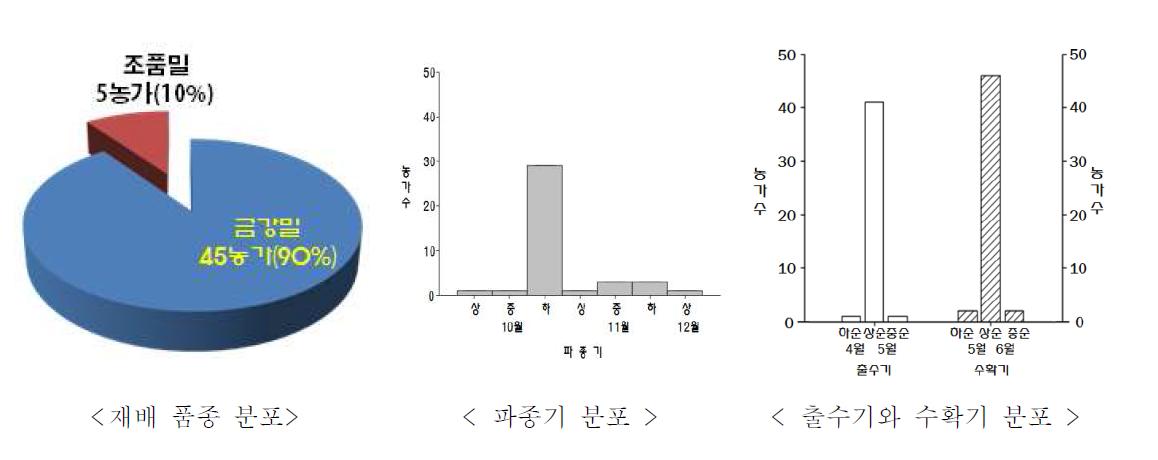 2011년 전북 밀 재배 농가 재배 품종, 파종시기 및 파종법 분포