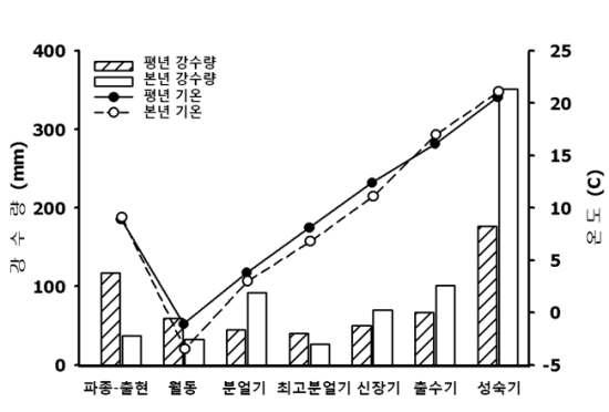 2011년 생육기간 중 평균기온과 강수량 변화 (4개 지역 평균)