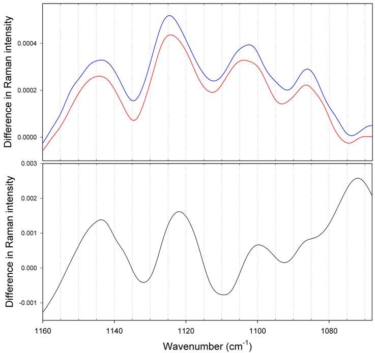 1160-1068 cm-1 영역에서의 국내산, 중국산 쌀의 평균 라만 스펙트럼의 difference 스펙트럼(위; 빨간색(역산란 라만 분광법), 파란색(투과 라만 분광법)), 아밀로오스와 아밀로펙틴 평균 라만 스펙트럼의 difference 스펙트럼(아래)