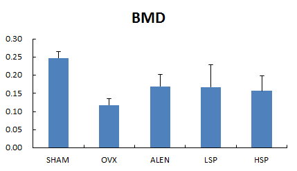 골다공증유도 동물의 골밀도(Bone mineral density, g/cm3) 변화