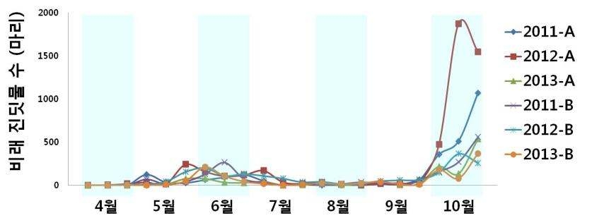 최근 3년(2011-2013)간 대관령 2지역 비래 진딧물 발생 양상