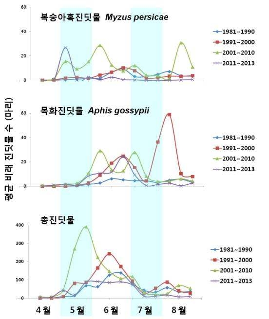 1980년대부터 현재까지 감자 생육기간 중 비래진딧물 변동 양상