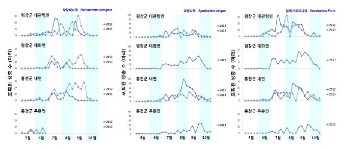 성페로몬 트랩을 이용한 고랭지 나방류 해충 성충의 발생소장