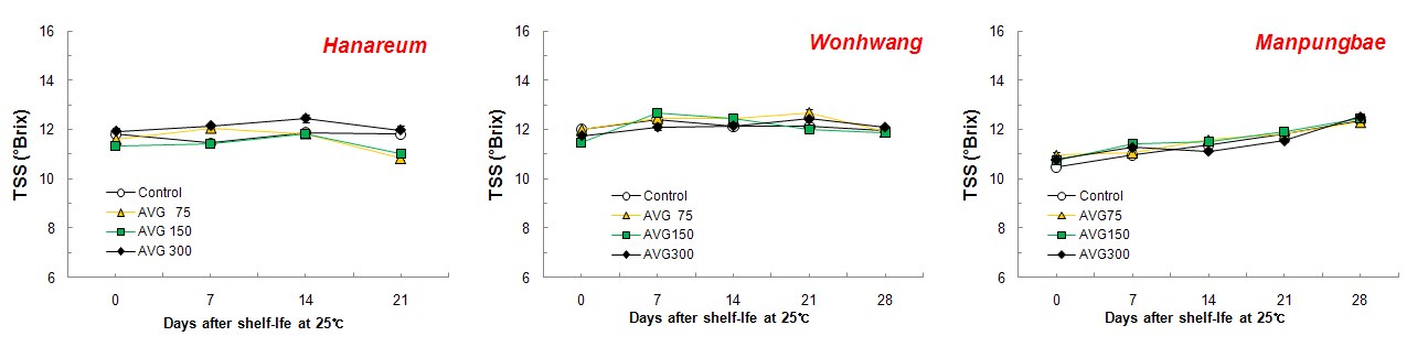 AVG 처리에 따른 상온유통중 당도의 변화