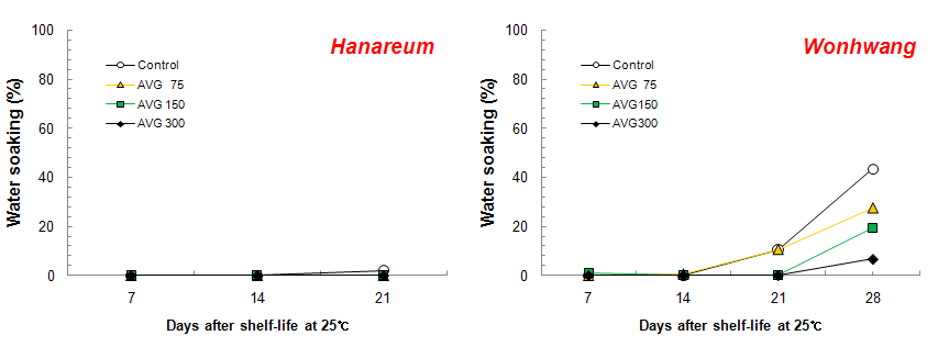 AVG 처리에 따른 상온유통중 수침과 발생율의 비교