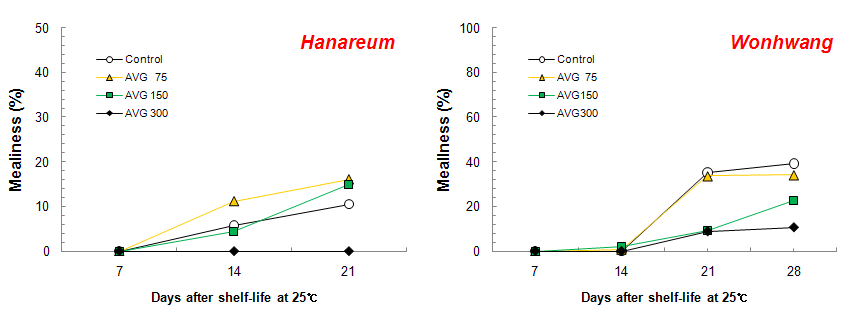 AVG 처리에 따른 상온유통중 밀증상 발생율의 변화