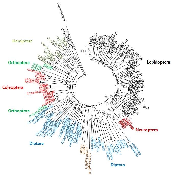 Result of COI barcode analysis from the insects collected in organic or conventional soybean farm fields. Total 164 individuals from 110 species.