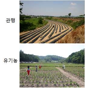 On-farm study fields for the arthropod biodiversity in soybean upland field (2011-2013): upper: the conventional, lower: the organic.