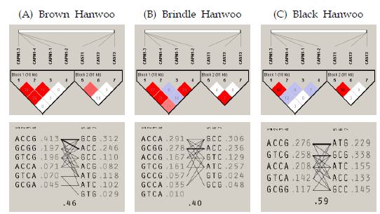 Structure of linkage disequilibrium for CAPN1-CAST SNPs and its haplotype frequencies among Brown, Brindle and Black Hanwoo.