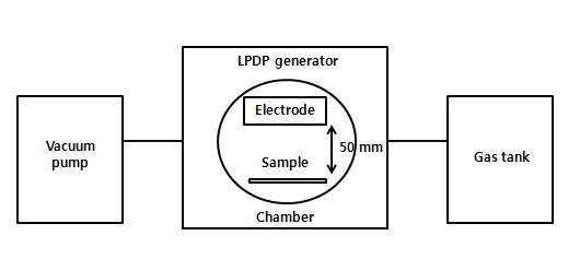 Schematic diagram of LPDP treatment system.