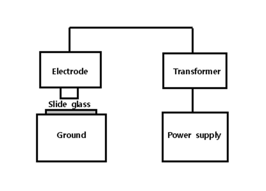 Schematic diagram of DBDP treatment system.