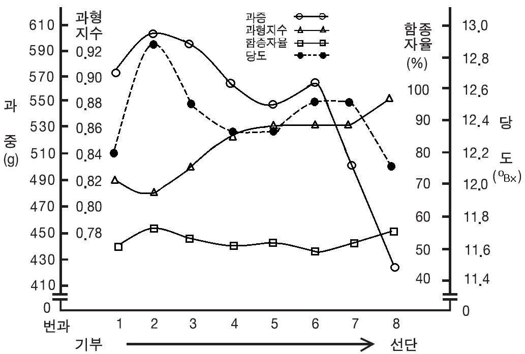 만풍배의 착과 과번에 따른 과실 품질 변화