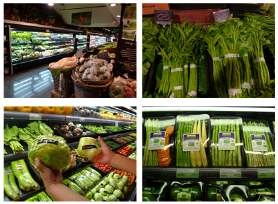 백화점 슈퍼마켓에 진열된 각종 채소