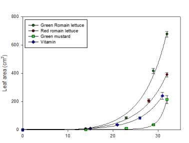 엽채류의 엽면적 증가 곡선