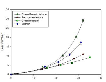 엽채류의 엽수 증가 곡선