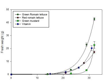 엽채류의 생체중 증가 곡선