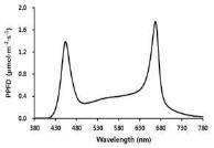 LED 램프(R5:B2:W1)의 파장별 PPFD 분포.