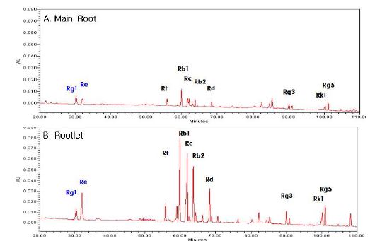 홍삼과 홍미삼의 HPLC 그로마토 그램