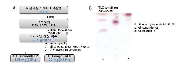 Ginsenoside F2 및 CK의 분리정제 과정 및 TLC 분석