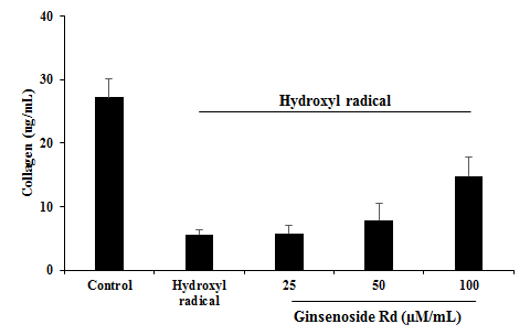 Rd의 Collagen 생합성 저해율