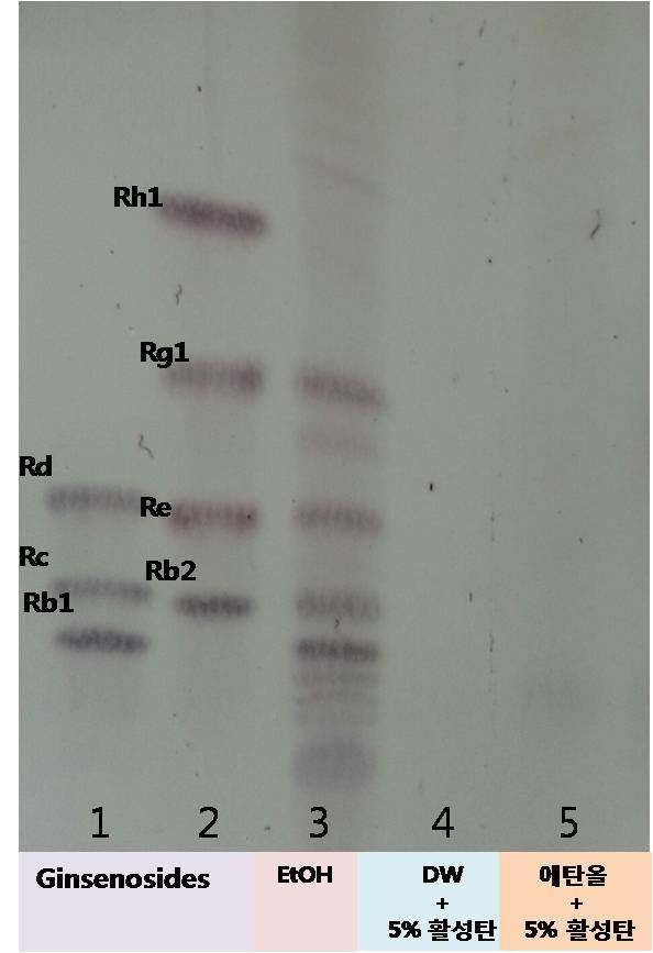 TLC 분석에 의한 에탄올 세척에 의한 사포닌 용출