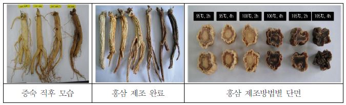 수삼(5년근 중삼)의 홍삼 제조방법별 모습