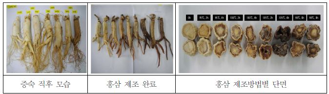 수삼(6년근 소삼)의 홍삼 제조방법별 모습