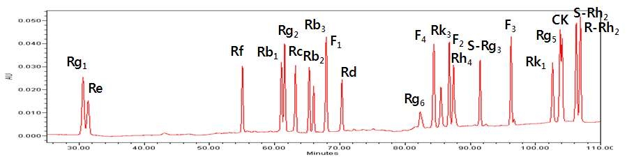 Ginsenoside 표준품의 HPLC 크로마토그램