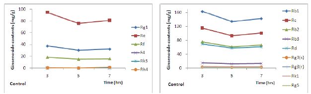조사포닌 분획의 50℃에서 시간에 따른 ginsenoside 함량 변화