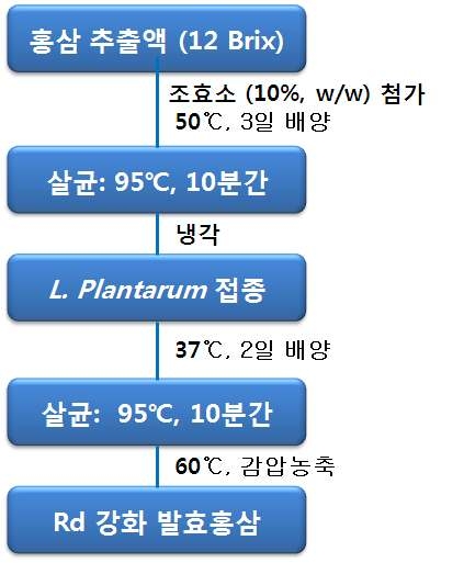 Ginsenoside Rd 강화 scale up 발효 공정