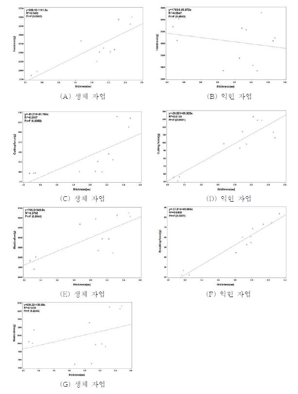 콩나물 두께와 물성 특성의 관계