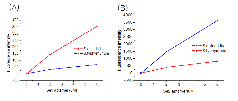 S.enteritidis 인식 압타머 Se1(A) 및 Se2(B) 의 특이성 테스트