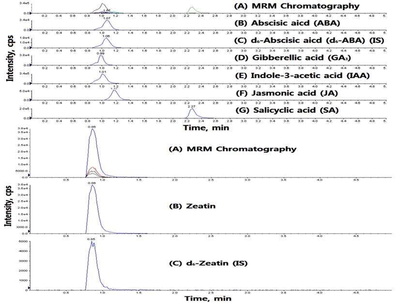 MRM ion-chromatograms
