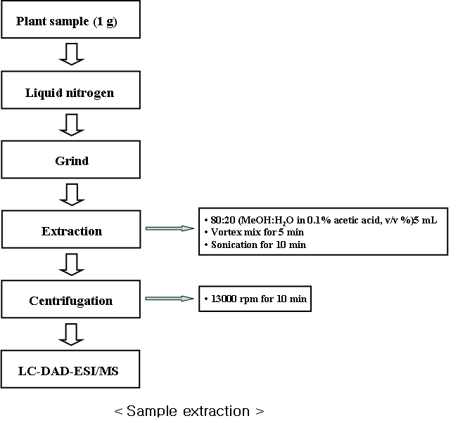 Sample extraction and purification of A. thealiana