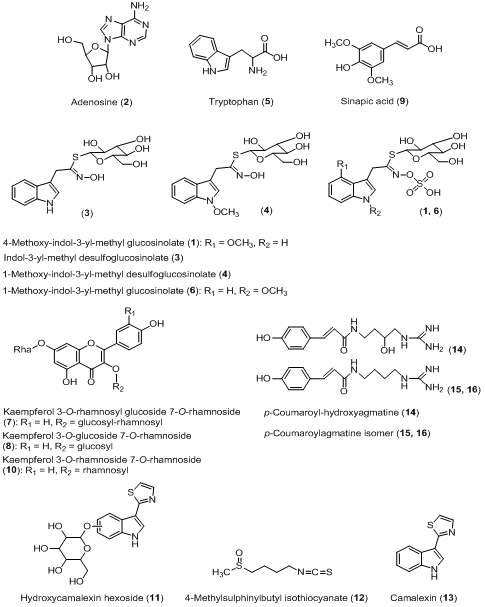 Secondary metabolite structures identified from infected A. thaliana