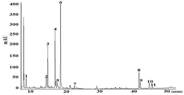 HPLC chromatograms of the polar secondary metabolomes in Arabidopsis