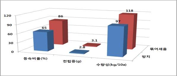 태풍발생 후 도복된 참깨에 대한 방치구와 묶어세움구의 등숙비율, 천립중 및 수량성 비교