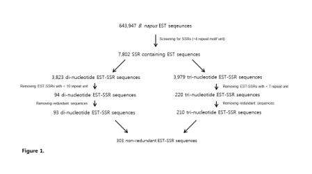유채 게놈에서 EST-SSRs 개발을 위한 전략.