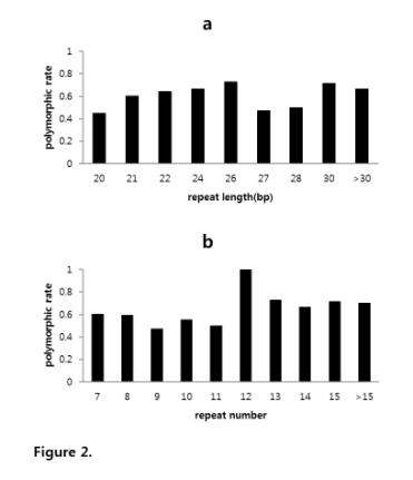 Primer 제작에 사용된 303개 EST-SSRs의 SSR 길이와 다형성 생성 비율 (a), 그리고 SSR 반복수와 다형성 생성 비율 사이의 연관성 (b).