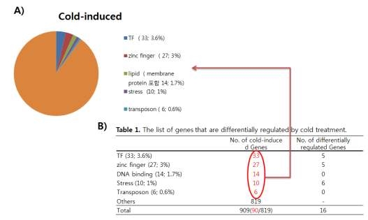 NCBI에서 동정한 909개 저온 반응 유전자들과 기능 분석 후 선발된 putative transcription factor (TF) 유전자 정보.