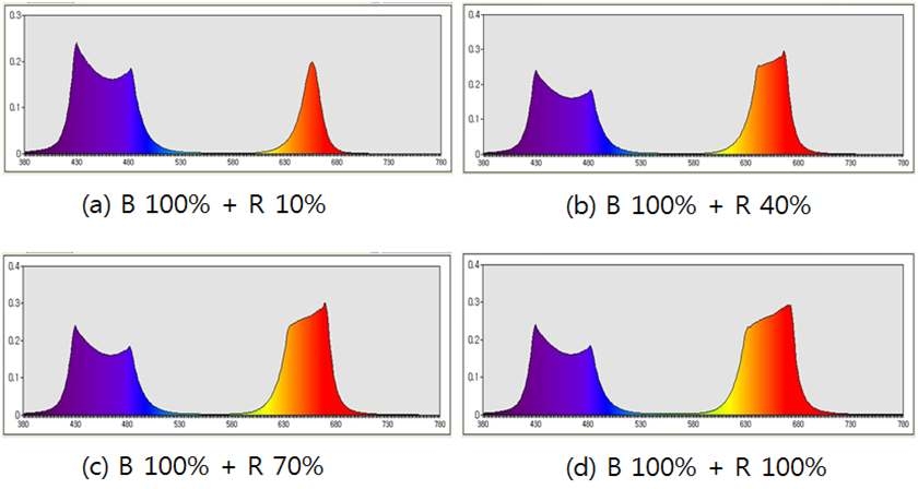 B LED의 광 강도가 100%로 일정할 때 R LED의 강 광도가 10∼100%로 변할 때의 B-R 혼합광의 분광분포 변화