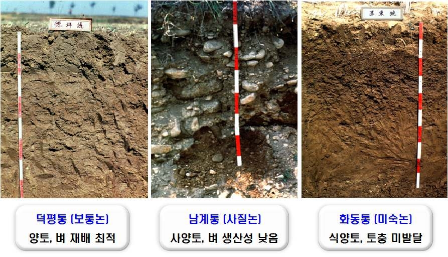 선정된 토양별 토층 발달