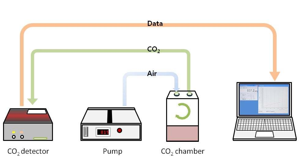 Measurement of carbon dioxide
