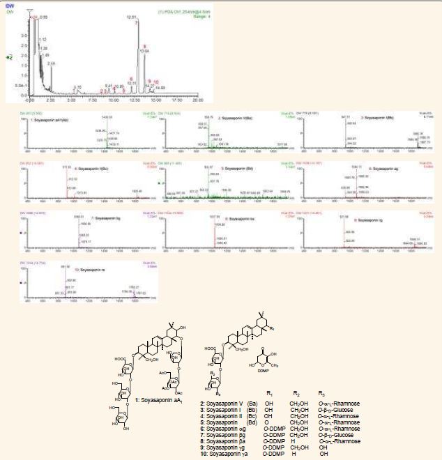 콩 HPLC-ESI/MS 분석으로 확인된 mass 및 화합물 구조