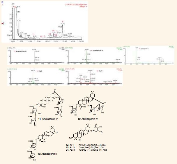 팥 HPLC-ESI/MS 분석으로 확인된mass 및 화합물 구조