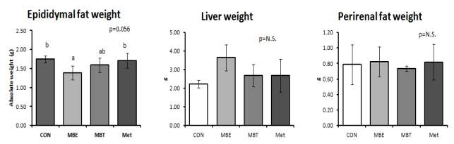 60% High fat diet 섭취와 함께 MBE, MBT를 4주간 경구투여한 KK-Aymice의 부고환 지방(Epididymal fat), 간(Liver), 신장옆 지방(Perirenal fat)조직의 무게.